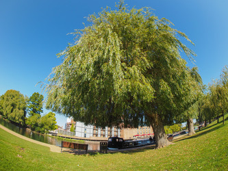 Similar image 8543557