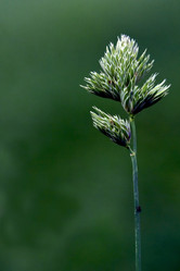 Similar image 8543615