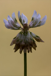 Similar image 8543629