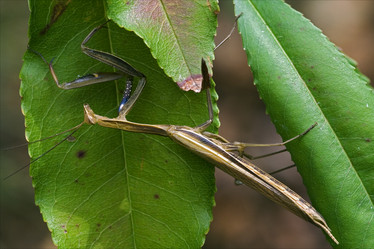 Similar image 8543630