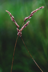 Similar image 8543631