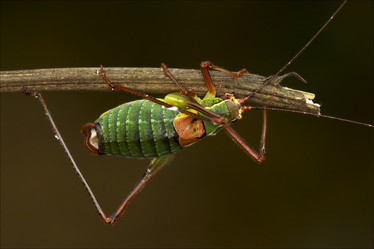 Similar image 8543632