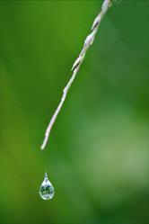 Similar image 8543635