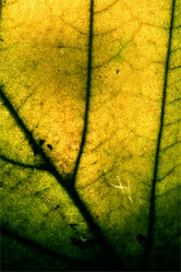 Similar image 8543639