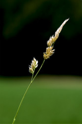 Similar image 8543643