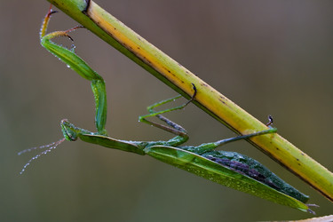 Similar image 8543735