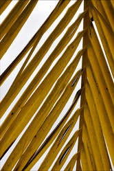 Similar image 8543736