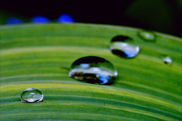 Similar image 8543739