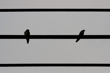 Similar image 8543741