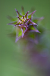 Similar image 8543742