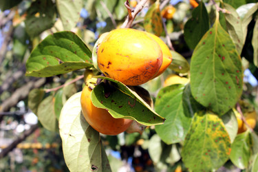 Similar image 8545721