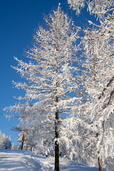 Similar image 8545830