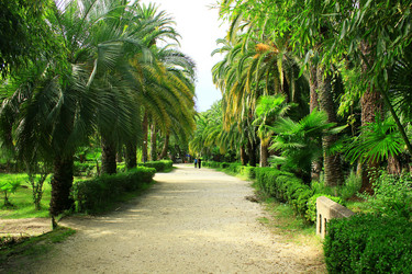 Similar image 8545862