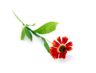 Similar image 8545881