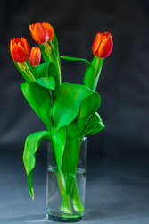 Similar image 8545941