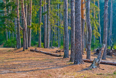 Similar image 8545945