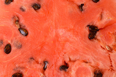 Similar image 8546014