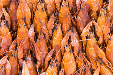 Similar image 8546053