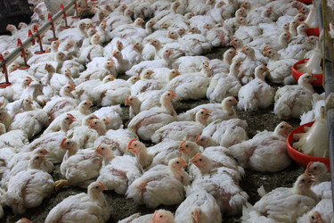 Similar image 8546063