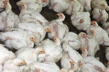 Similar image 8546064