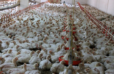 Similar image 8546066