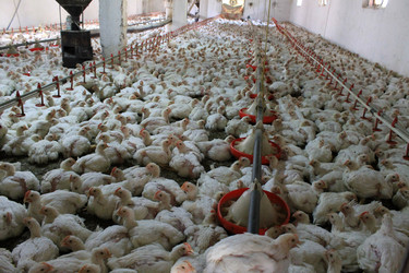 Similar image 8546068