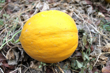 Similar image 8546093