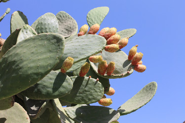 Similar image 8546101