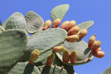 Similar image 8546102