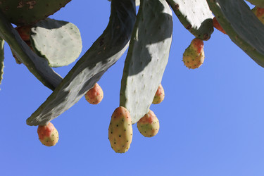 Similar image 8546103