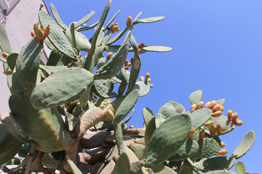 Similar image 8546104