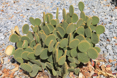 Similar image 8546105