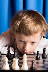 Similar image 8546247