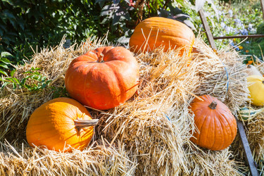 Similar image 8546316