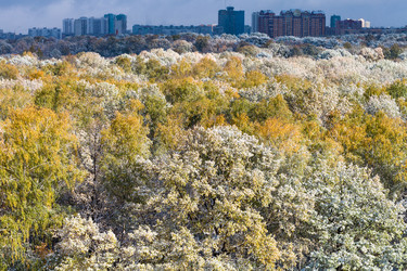 Similar image 8546317