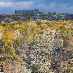 Similar image 8546318