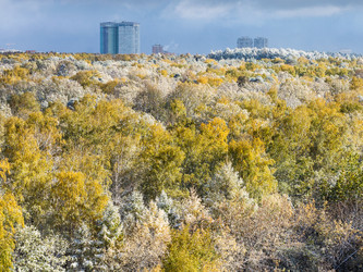 Similar image 8546320