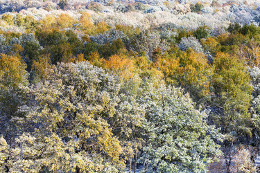 Similar image 8546329