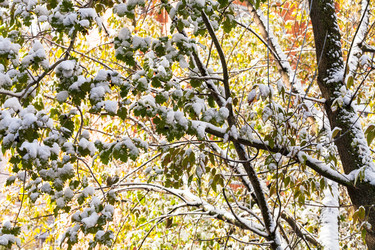 Similar image 8546332