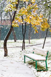 Similar image 8546349