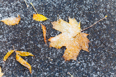 Similar image 8546351