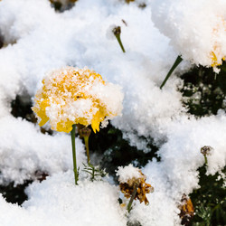 Similar image 8546353