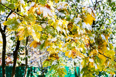 Similar image 8546365