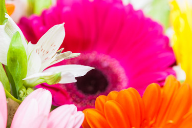 Similar image 8546397