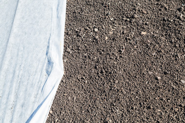 Similar image 8546401