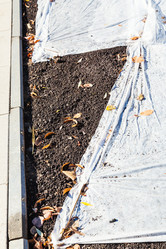 Similar image 8546406