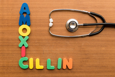 Similar image 8546584