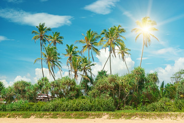 Similar image 8546960