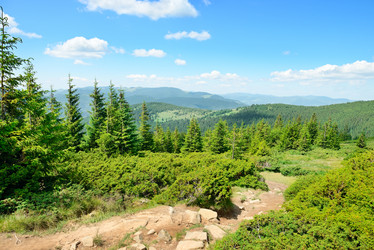 Similar image 8546971