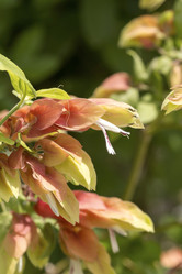 Similar image 8546984